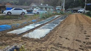 보난자님의 마늘 · 영농일지 작성글 사진