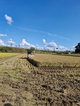 팜모닝 벼·영농일지 게시글 이미지