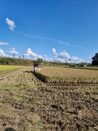서호님의 벼 · 영농일지 작성글 사진