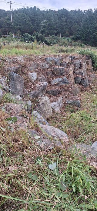 도깨비윤샘 님의 기타작물 · 영농일지 작성글 사진