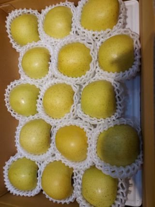 효진농원님의 사과 · 영농일지 작성글 사진