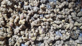 양배추14183님의 기타작물 · 영농일지 작성글 사진