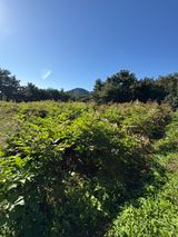 정의진님의 작성글 사진