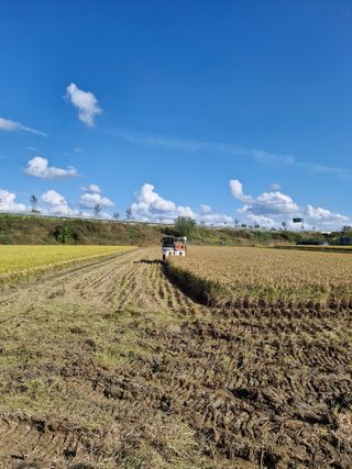 서호님의 벼 · 영농일지 작성글 사진