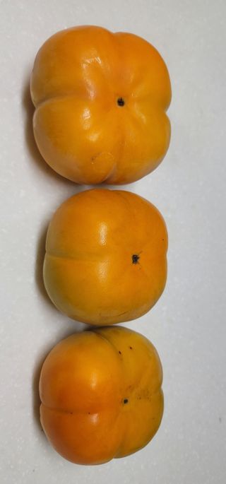 육우진님의 기타작물 · 영농일지 작성글 사진