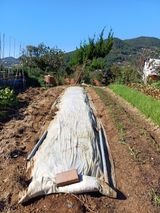 팜모닝 기타작물·영농일지 게시글 이미지