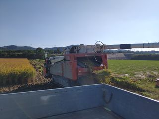 김광섭님의 벼 · 영농일지 작성글 사진