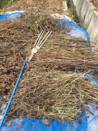 최병우님의 기타작물 · 영농일지 작성글 사진