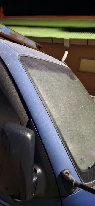 구춘봉님의 마늘 · 영농일지 작성글 사진