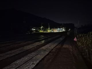 김명웅님의 기타작물 · 영농일지 작성글 사진