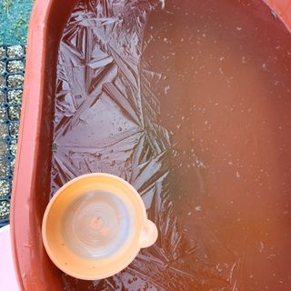 호수지기님의 기타작물 · 영농일지 작성글 사진