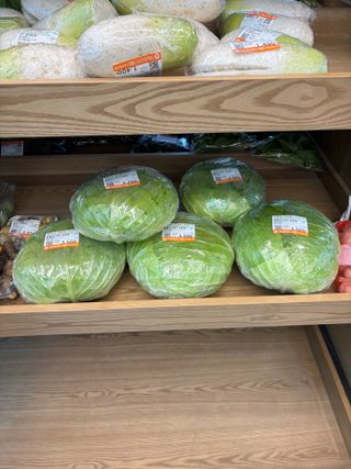 김영완님의 양배추 · 영농일지 작성글 사진