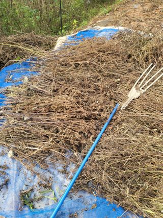 최병우님의 기타작물 · 영농일지 작성글 사진