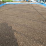 팜모닝 들깨·영농일지 게시글 이미지