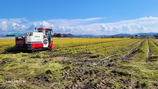 감자7569님의 기타작물 · 영농일지 작성글 사진
