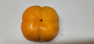 육우진님의 기타작물 · 영농일지 작성글 사진