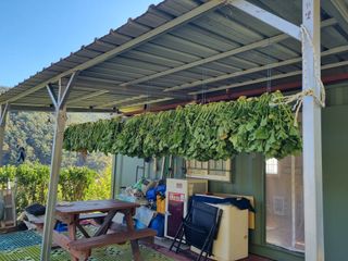 심기섭님의 기타작물 · 영농일지 작성글 사진