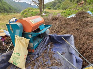 윤자용11대임후회장님의 들깨 · 영농일지 작성글 사진