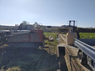 김광섭님의 벼 · 영농일지 작성글 사진