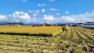 감자7569님의 기타작물 · 영농일지 작성글 사진