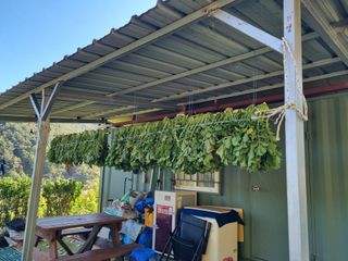 심기섭님의 기타작물 · 영농일지 작성글 사진