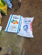 팜모닝 마늘·영농일지 게시글 이미지