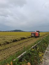 팜모닝 기타작물·영농일지 게시글 이미지