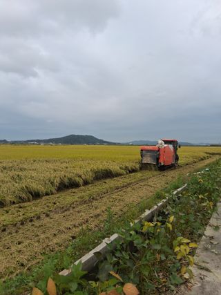 비호짱님의 기타작물 · 영농일지 작성글 사진
