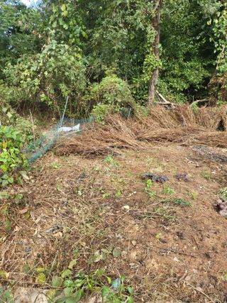 최병우님의 기타작물 · 영농일지 작성글 사진