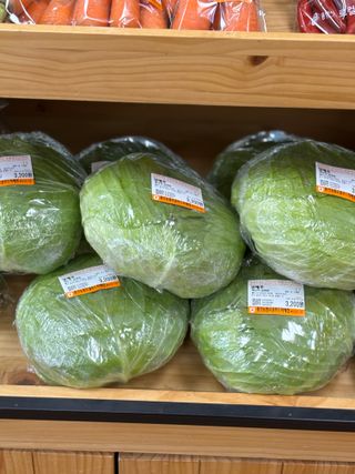 김영완님의 양배추 · 영농일지 작성글 사진