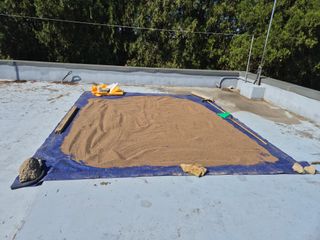 김기철님의 들깨 · 영농일지 작성글 사진