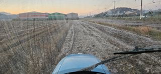 구춘봉님의 마늘 · 영농일지 작성글 사진