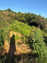 정의진님의 작성글 사진