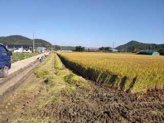 김광섭님의 벼 · 영농일지 작성글 사진