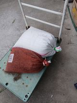 팜모닝 들깨·영농일지 게시글 이미지