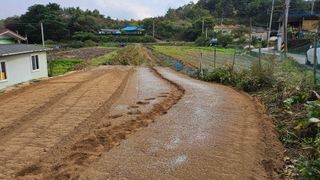 보난자님의 마늘 · 영농일지 작성글 사진