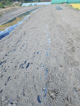 팜모닝 기타작물·영농일지 게시글 이미지