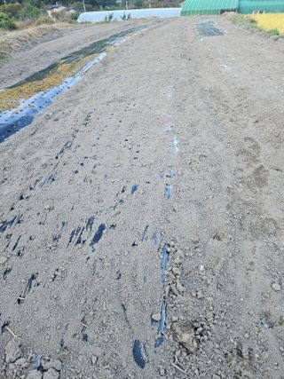 김해열님의 기타작물 · 영농일지 작성글 사진