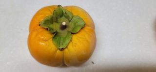 육우진님의 기타작물 · 영농일지 작성글 사진