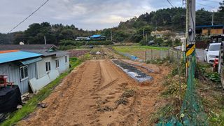 보난자님의 마늘 · 영농일지 작성글 사진