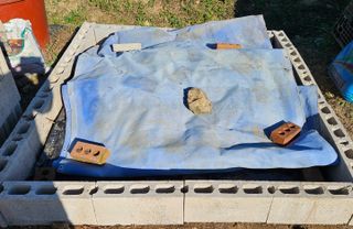 김인수님의 양파 · 영농일지 작성글 사진