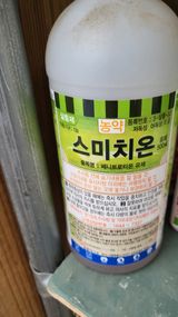 팜모닝 기타작물·영농일지 게시글 이미지