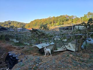 김종협님의 기타작물 · 영농일지 작성글 사진