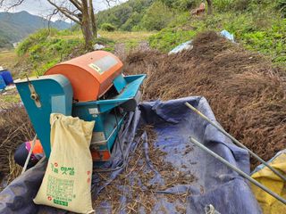 윤자용11대임후회장님의 들깨 · 영농일지 작성글 사진