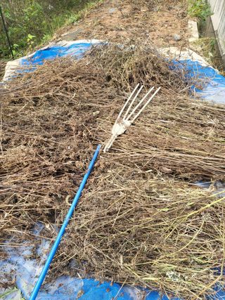 최병우님의 기타작물 · 영농일지 작성글 사진