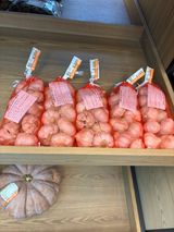 팜모닝 마늘·영농일지 게시글 이미지