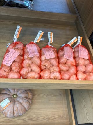 김영완님의 마늘 · 영농일지 작성글 사진