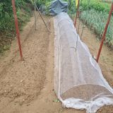 팜모닝 기타작물·영농일지 게시글 이미지