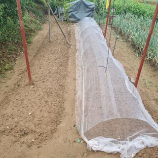 농부(양수)님의 기타작물 · 영농일지 작성글 사진