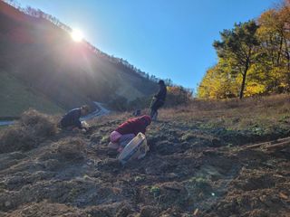 이름유순옥님의 기타작물 · 영농일지 작성글 사진